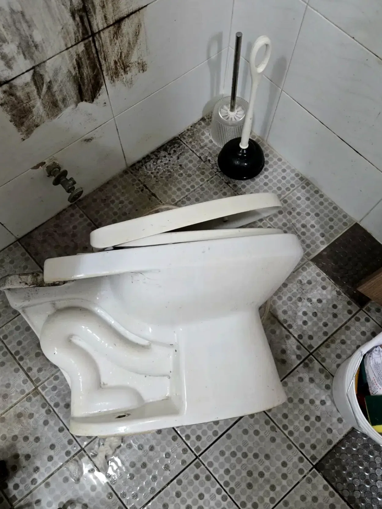 양천구변기막힘 관련 작업 이미지 2